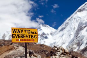 Loading Growth | Everest12- The Game-Changing Complete Growth Plan for Your IT